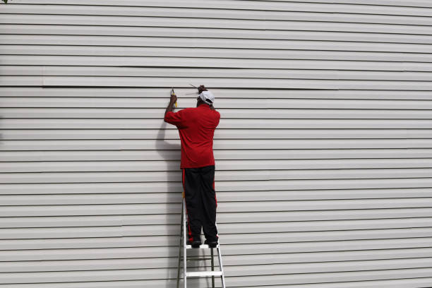 Best Siding Replacement  in Altoona, WI