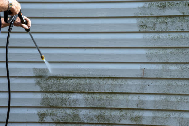 Affordable siding repair and maintenance services in Altoona, WI