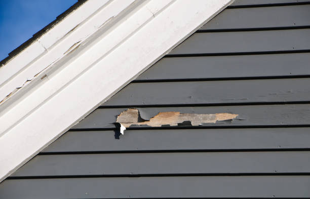 Best Fiber Cement Siding Installation  in Altoona, WI